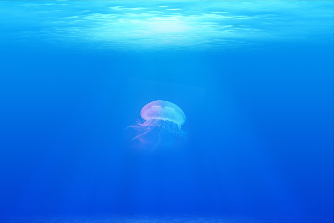 Saving Marine Life with Oceanic Green Energy Solutions